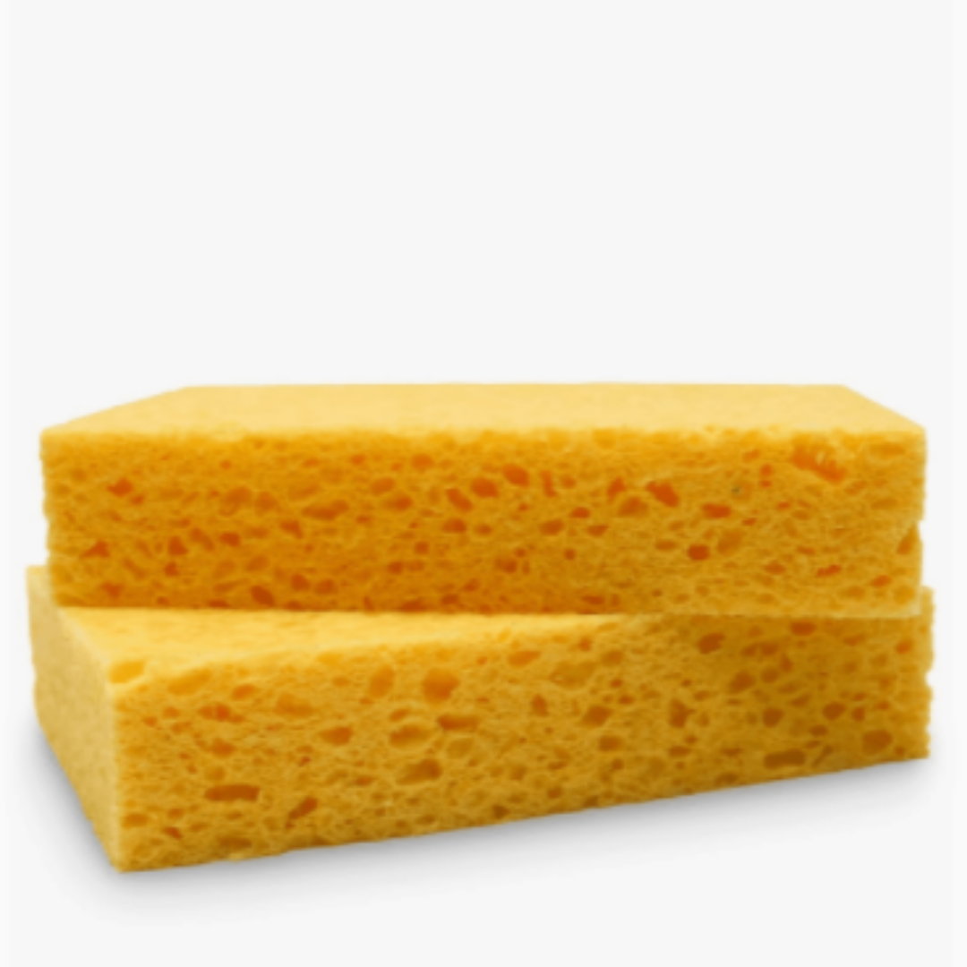 Sponges<br>.