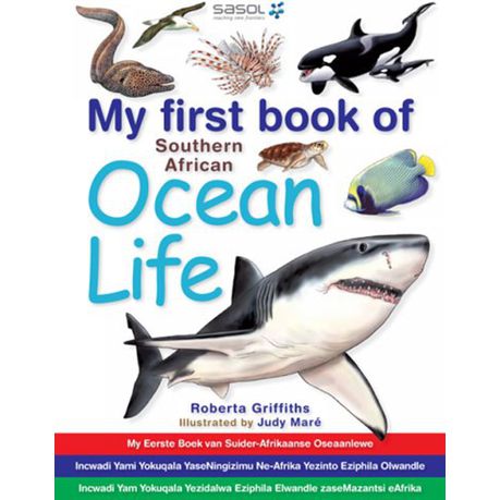 My first book of Southern African ocean life Buy Online in Zimbabwe thedailysale.shop