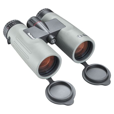 Bushnell 10x42 Nitro Roof Prism Binocular - Metal Grey