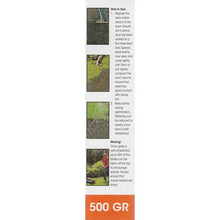 Load image into Gallery viewer, Kirchhoffs Evergreen Lawn Grass Seed Box - 500g
