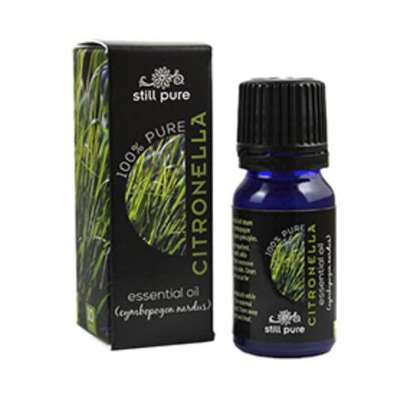 Still Pure Cintronella Essential Oil -  20ml Buy Online in Zimbabwe thedailysale.shop