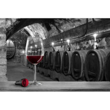 Load image into Gallery viewer, VAGNBYS Wine Pourer - 4-in-1 - Decantiere III
