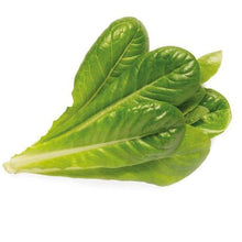 Load image into Gallery viewer, Click and Grow Romaine Lettuce Refill for Smart Herb Garden - 3 Pack
