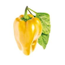 Load image into Gallery viewer, Click and Grow Yellow Sweet Pepper Refill for Smart Herb Garden - 3 Pack
