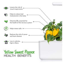 Load image into Gallery viewer, Click and Grow Yellow Sweet Pepper Refill for Smart Herb Garden - 3 Pack
