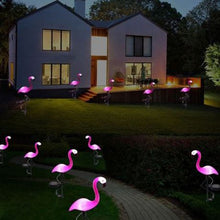 Load image into Gallery viewer, Iconix Flamingo Solar Standing Lights
