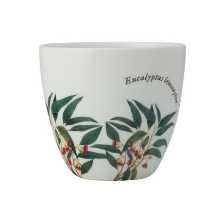 Maxwell & Williams - Royal Botanic Garden Tea Light Holder - Flowering Gum Buy Online in Zimbabwe thedailysale.shop