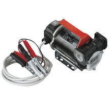 Load image into Gallery viewer, PIUSI Diesel Transfer Pump Kit 12v
