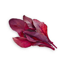 Load image into Gallery viewer, Click and Grow Red Leaf Beet Refill 3-Pack for Smart Herb Garden
