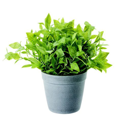 Artificial Pot Plants - Plain Leaves (21cm) Buy Online in Zimbabwe thedailysale.shop