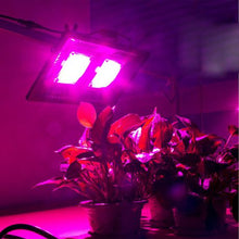 Load image into Gallery viewer, Waterproof 100W Full Spectrum COB LED Grow Light for Indoor Plants
