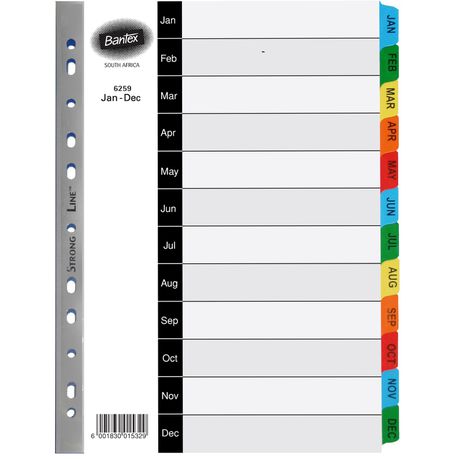 Bantex A4 12 (Jan-Dec) Division Mylar Tabbed Indexes Buy Online in Zimbabwe thedailysale.shop