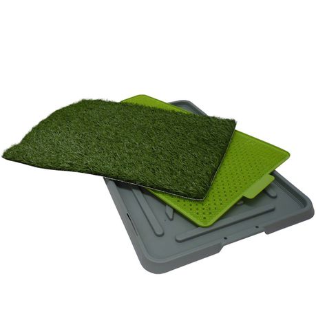 Calasca - Potty Patch - Green Buy Online in Zimbabwe thedailysale.shop