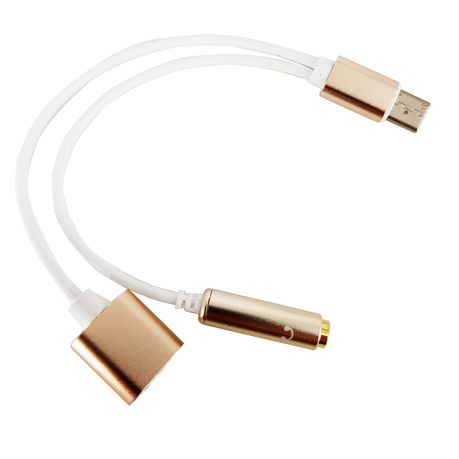 Type C  2-in-1 Adaptor - White & Gold Buy Online in Zimbabwe thedailysale.shop