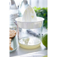 Load image into Gallery viewer, Citrus Press 300ml
