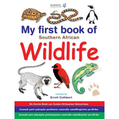 My first book of Southern African wildlife Buy Online in Zimbabwe thedailysale.shop