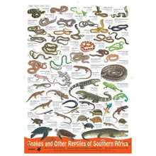 Load image into Gallery viewer, Snakes and other reptiles of Southern Africa
