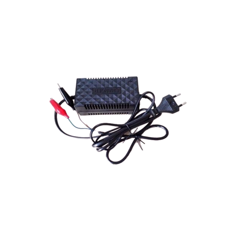 12V 2A Intelligent Pulse Charger Buy Online in Zimbabwe thedailysale.shop