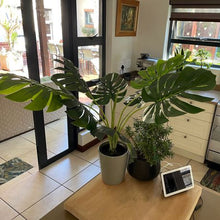 Load image into Gallery viewer, HouzeComfort Artificial Monstera Pot Plant Indoor and Outdoor
