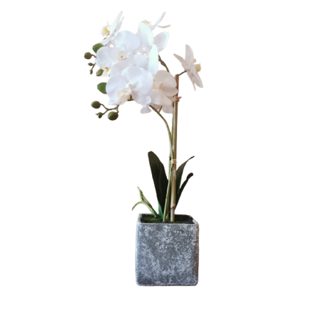 Artificial White Orchid Plant With Grey Vase 2 STem Buy Online in Zimbabwe thedailysale.shop