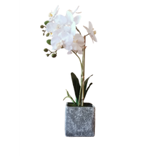 Load image into Gallery viewer, Artificial White Orchid Plant With Grey Vase 2 STem
