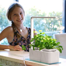 Load image into Gallery viewer, Hydroponic Smart Garden
