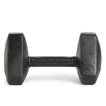 Load image into Gallery viewer, GetUp Dumbbell 8kg
