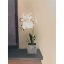 Load image into Gallery viewer, Artificial White Orchid Plant With Grey Vase 2 STem
