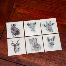 Load image into Gallery viewer, Ithambo Wildlife Cheetah Lion Kudu Giraffe Zebra Bat Fox 6pc Glass Coasters
