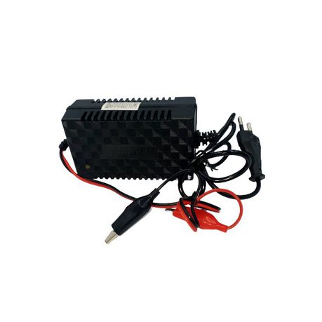 12V 2A Intelligent Pulse Chargers Buy Online in Zimbabwe thedailysale.shop