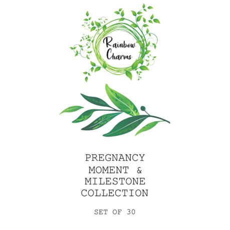 Pregnancy Moment & Milestone Collection