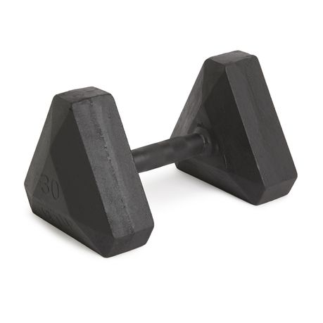 GetUp Dumbbell 30kg Buy Online in Zimbabwe thedailysale.shop