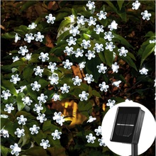 Load image into Gallery viewer, Cherry Blossom 12m Solar Power LED Strap (CB-12-100-CW)
