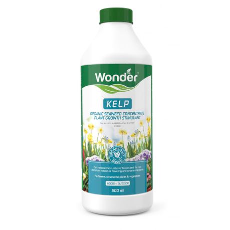 Wonder - Kelp 500ml Buy Online in Zimbabwe thedailysale.shop