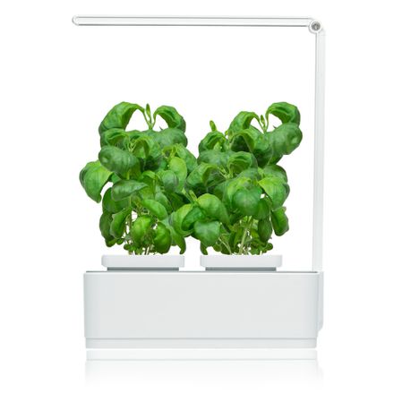 Hydroponic Smart Garden