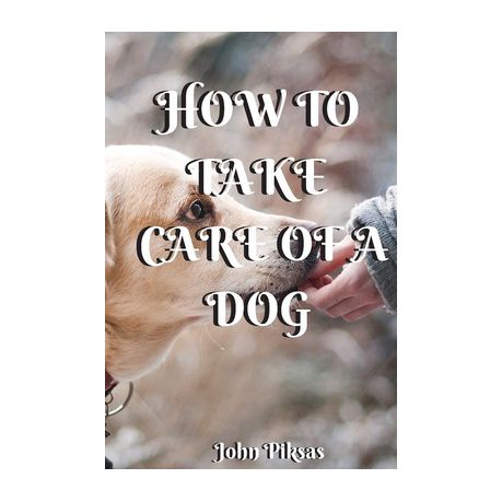 How to Take Care of a Dog