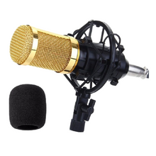 Load image into Gallery viewer, Professional Condenser Studio Microphone ST-225
