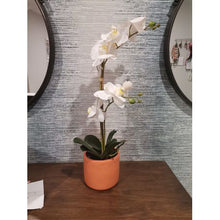 Load image into Gallery viewer, Artificial White Orchid Plant With Terracotta Vase 2 Stem
