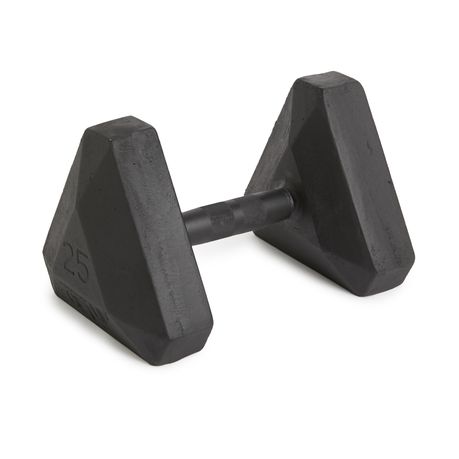 GetUp Dumbbell 25kg Buy Online in Zimbabwe thedailysale.shop