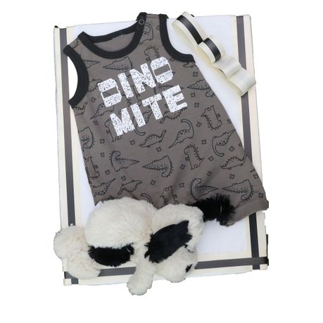 Baby Gifts - Dinomite