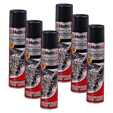 Holts Penetrating Spray (250ml) - 6 Pack Buy Online in Zimbabwe thedailysale.shop