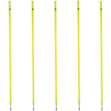 Load image into Gallery viewer, Fury Slalom Poles - Set of 5
