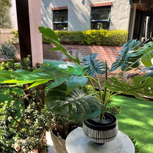 Load image into Gallery viewer, HouzeComfort Artificial Monstera Pot Plant Indoor and Outdoor
