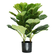 Load image into Gallery viewer, HouzeComfort Artificial Ficus Iyrata Indoor and Outdoor Pot Plant
