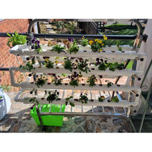 Load image into Gallery viewer, Hydroponic Step-Down Steel-Framed Tiered Growing System 88 Hole
