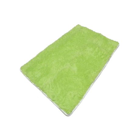 Light Green Rug/Carpet(200x150cm) Buy Online in Zimbabwe thedailysale.shop