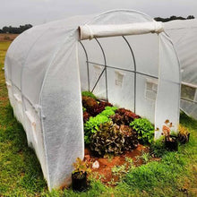 Load image into Gallery viewer, Greenhouse Tunnel - 3m x 2m x 2m
