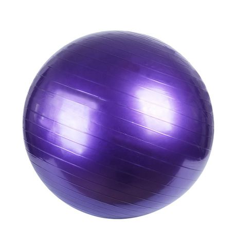 Exercise Ball / Yoga Ball - Purple Buy Online in Zimbabwe thedailysale.shop