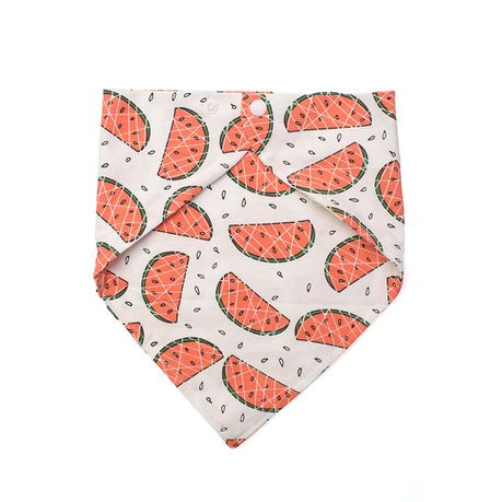 Watermelon Tie Bib Buy Online in Zimbabwe thedailysale.shop