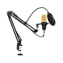 Load image into Gallery viewer, Andowl Professional Condenser Microphone Kit - Gold
